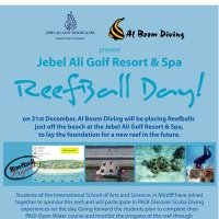 reefballday