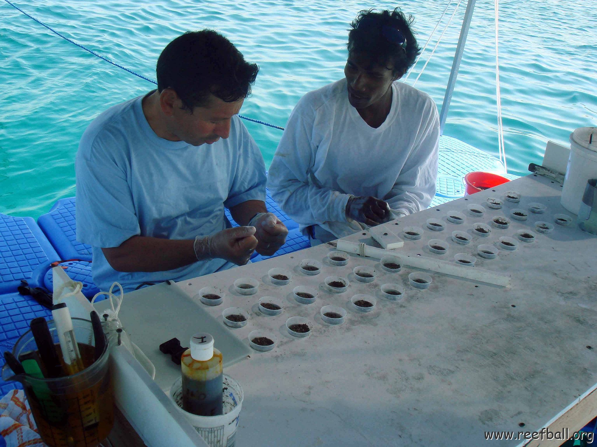 Fingers and Coral Table been Sterilized with Antibacterial Soap, Cloves been used to protect the Corals