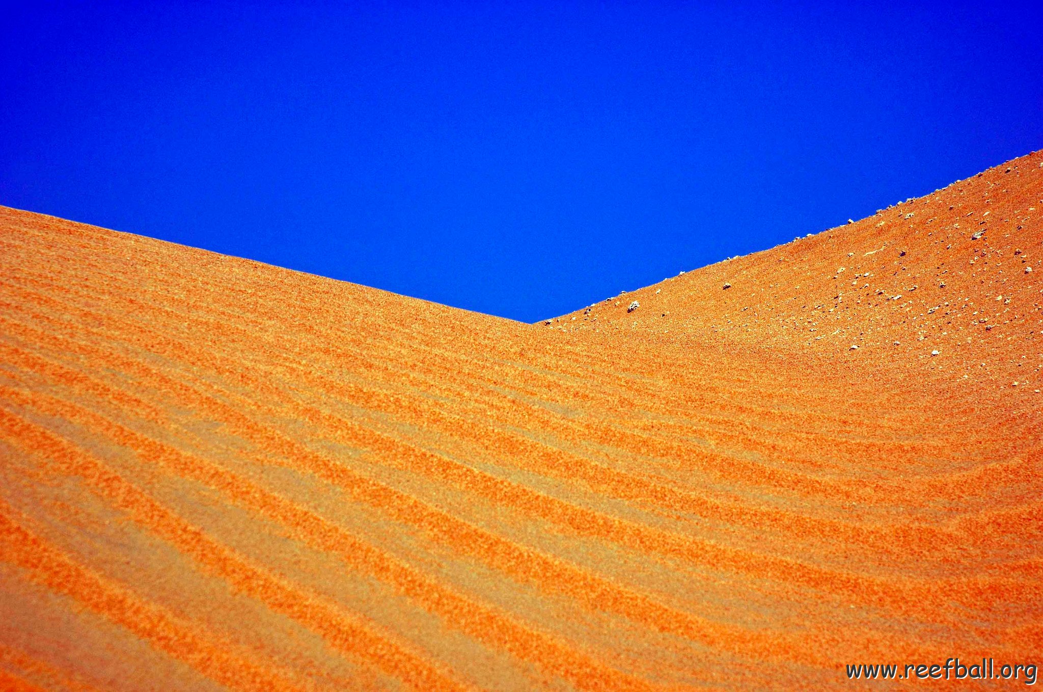 Sand Dunes 1