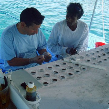 Fingers and Coral Table been Sterilized with Antibacterial Soap, Cloves been used to protect the Corals