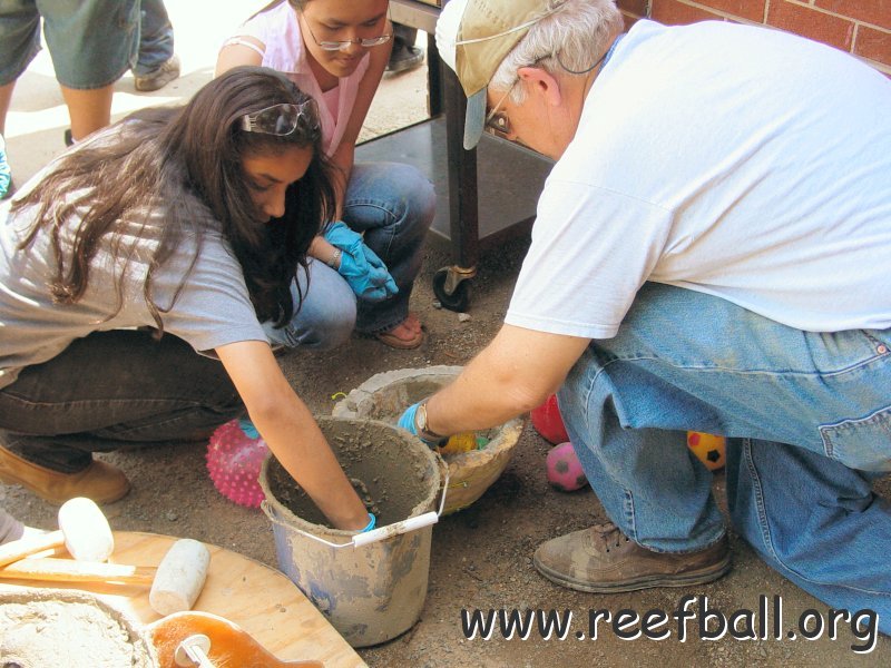 ahs_making_model_reef_ball_1_wayne_young