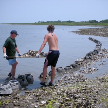 John and Jacob dropping shell